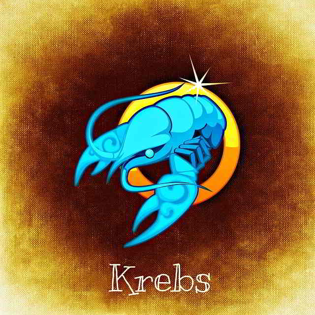 Sternzeichen Krebs